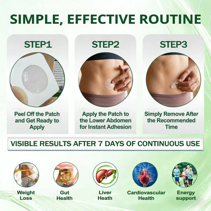 FDA Registered & GMP Certified  | 🧑‍⚕️🩺 Solaroza® Moringa & Berberine 10-IN-1 Advanced NanoMicroneedle Patch |  Backed by Scientific Evidence |10-in-1 Formula | Results in 5 Days🚀